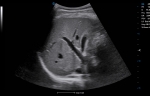 6-260529122014162