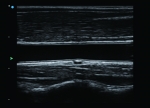 A2100-Clinical1